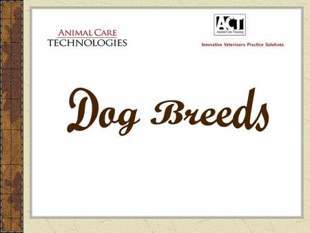 Dog Breeds.