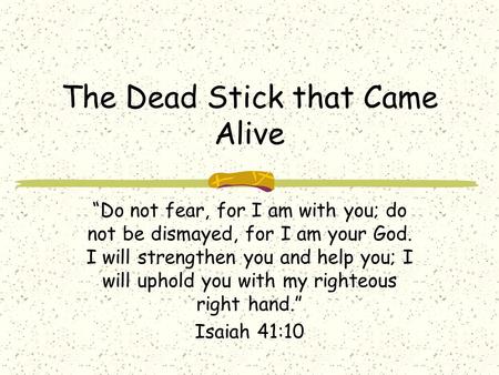 The Dead Stick that Came Alive “Do not fear, for I am with you; do not be dismayed, for I am your God. I will strengthen you and help you; I will uphold.