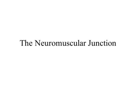 The Neuromuscular Junction