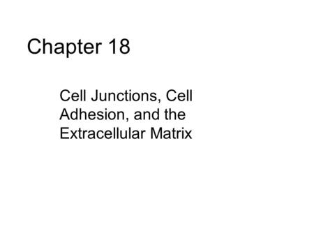 Chapter 18 Cell Junctions, Cell Adhesion, and the Extracellular Matrix.