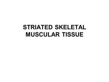 STRIATED SKELETAL MUSCULAR TISSUE. FUNCTIONS Movement Heat Stabilization.