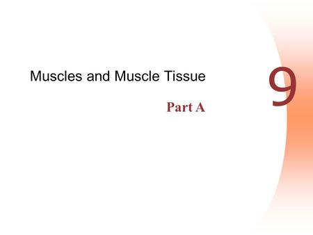 Muscles and Muscle Tissue