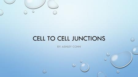 CELL TO CELL JUNCTIONS BY: ASHLEY COHN. SURFACE MARKERS STRUCTURE VARIABLE, INTEGRAL OR GLYCOLIPIDS IN PLASMA MEMBRANE. FUNCTION IDENTIFY THE CELL EXAMPLE.