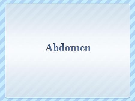 Abdomen.