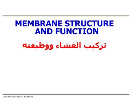 MEMBRANE STRUCTURE AND FUNCTION