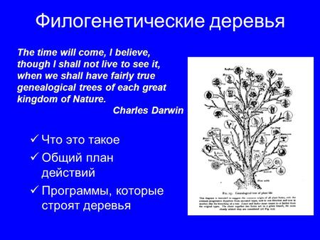 Филогенетические деревья Что это такое Общий план действий Программы, которые строят деревья The time will come, I believe, though I shall not live to.