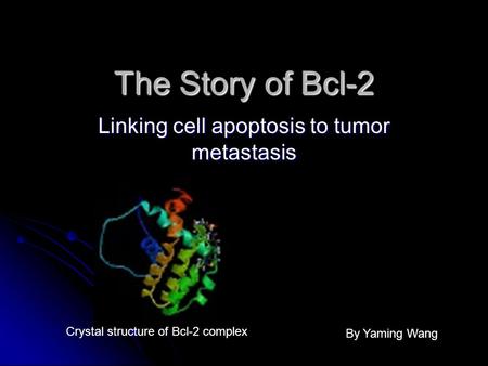 The Story of Bcl-2 Linking cell apoptosis to tumor metastasis Crystal structure of Bcl-2 complex By Yaming Wang.