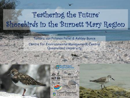 ‘Feathering the Future’ Shorebirds in the Burnett Mary Region Tamara van Polanen Petel & Ashley Bunce Centre for Environmental Management, Central Queensland.