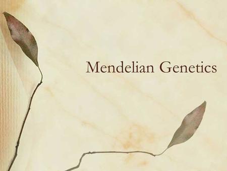 Mendelian Genetics.