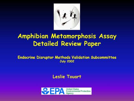 Amphibian Metamorphosis Assay Detailed Review Paper