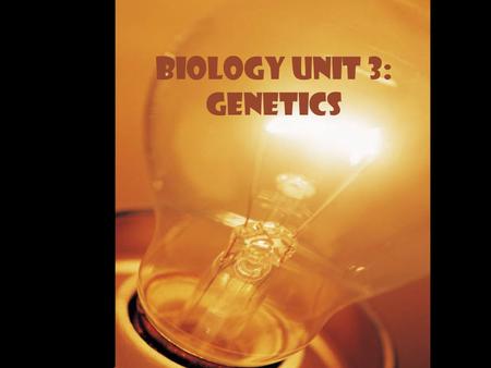 Biology Unit 3: Genetics. 1. Complete the following chart comparing meiosis and mitosis. MitosisMeiosis Produces sex cells (gametes) or body cells (somatic)?