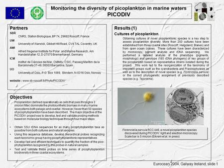 Eurocean 2004, Galway Ireland, slide 1 Monitoring the diversity of picoplankton in marine waters PICODIV Partners SBR CNRS, Station Biologique, BP 74,