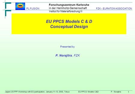 Forschungszentrum Karlsruhe in der Helmholtz-Gemeinschaft Japan-US FPP-Workshop with EU participation, January 11-13, 2005, Tokyo EU PPCS Models C&D P.