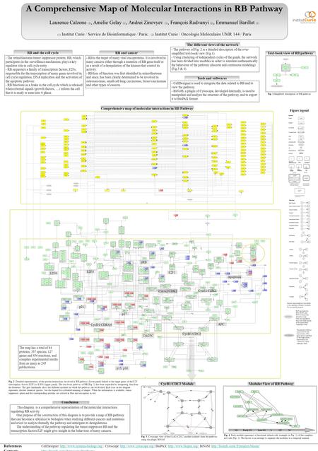 A Comprehensive Map of Molecular Interactions in RB Pathway Laurence Calzone (1), Amélie Gelay (1), Andrei Zinovyev (1), François Radvanyi (2), Emmanuel.