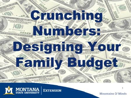 1 Crunching Numbers: Designing Your Family Budget.