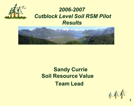 1 2006-2007 Cutblock Level Soil RSM Pilot Results Sandy Currie Soil Resource Value Team Lead.