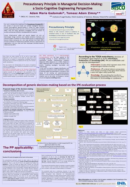 Precautionary Principle in Managerial Decision-Making: a Socio-Cognitive Engineering Perspective Precautionary Principle in Managerial Decision-Making: