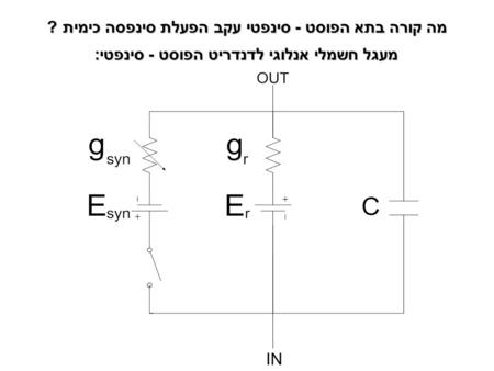 מה קורה בתא הפוסט - סינפטי עקב הפעלת סינפסה כימית ?