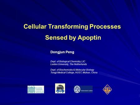 Cellular Transforming Processes Sensed by Apoptin Dept. of Biological Chemistry, LIC Leiden University, The Netherlands Dept. of Biochemistry & Molecular.