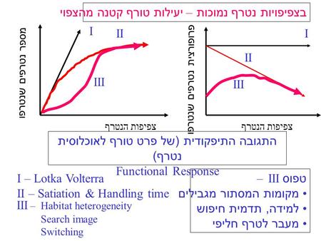 צפיפות הנטרף מספר נטרפים שנטרפו פרופורצית נטרפים שנטרפו צפיפות הנטרף I III III התגובה התיפקודית ( של פרט טורף לאוכלוסית נטרף ) Functional Response I –