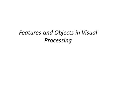 Features and Objects in Visual Processing