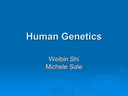 Human Genetics Weibin Shi Michele Sale. Contact Information  Shi: 243-9420  Sale: 982-0368.