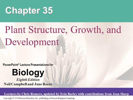 Plant Structure, Growth, and Development