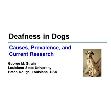 Deafness in Dogs Causes, Prevalence, and Current Research