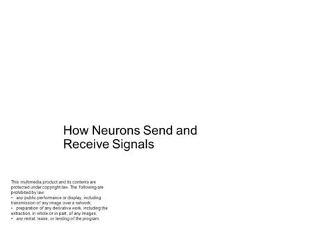 Chapter 4 Neural Conduction and Synaptic Transmission