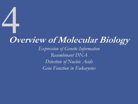 4 Overview of Molecular Biology Expression of Genetic Information Recombinant DNA Detection of Nucleic Acids Gene Function in Eukaryotes.