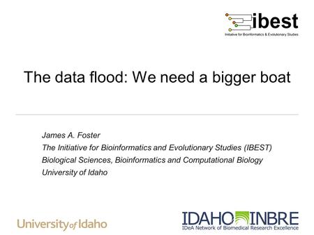 The data flood: We need a bigger boat James A. Foster The Initiative for Bioinformatics and Evolutionary Studies (IBEST) Biological Sciences, Bioinformatics.