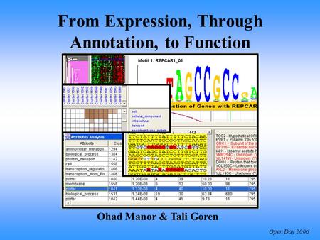 Open Day 2006 From Expression, Through Annotation, to Function Ohad Manor & Tali Goren.