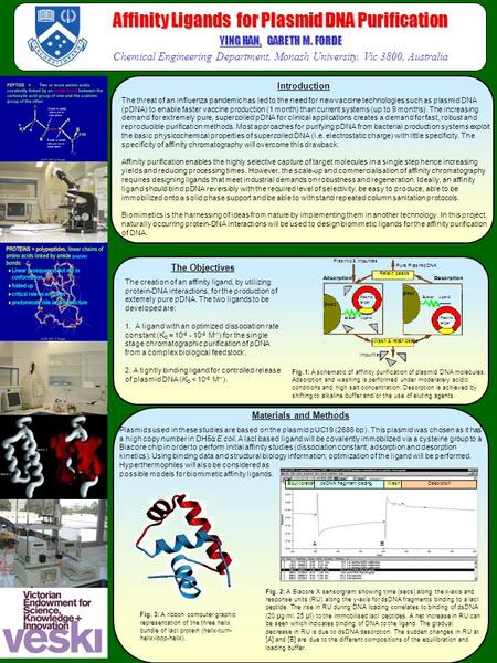 Affinity Ligands for Plasmid DNA Purification YING HAN, GARETH M. FORDE Chemical Engineering Department, Monash University, Vic 3800, Australia Materials.