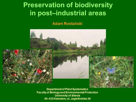 Preservation of biodiversity in post–industrial areas Adam Rostański Department of Plant Systematics Faculty of Biology and Environmental Protection University.