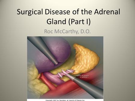 Surgical Disease of the Adrenal Gland (Part I)