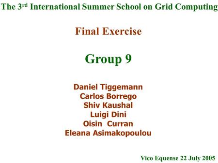 Final Exercise Group 9 Daniel Tiggemann Carlos Borrego Shiv Kaushal Luigi Dini Oisin Curran Eleana Asimakopoulou The 3 rd International Summer School.