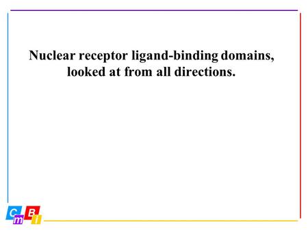 Nuclear receptor function