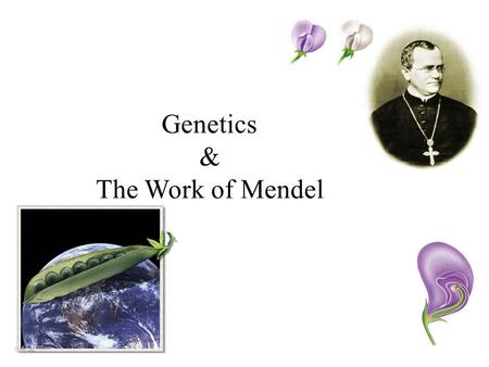 Genetics & The Work of Mendel