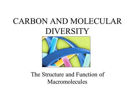 CARBON AND MOLECULAR DIVERSITY