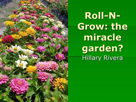 Roll-N- Grow: the miracle garden? Hillary Rivera.