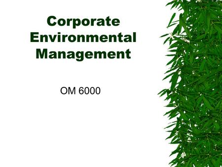 Corporate Environmental Management