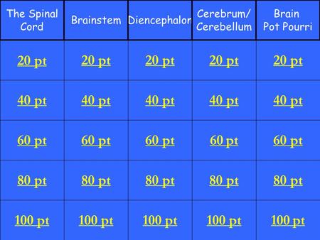 40 pt 60 pt 80 pt 100 pt 20 pt 40 pt 60 pt 80 pt 100 pt 20 pt 40 pt 60 pt 80 pt 100 pt 20 pt 40 pt 60 pt 80 pt 100 pt 20 pt 40 pt 60 pt 80 pt 100 pt 20.