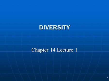 1 DIVERSITY Chapter 14 Lecture 1. 2 Diversity Defined Human diversity Human diversity VisibleVisible Less or invisibleLess or invisible Diverse structural.