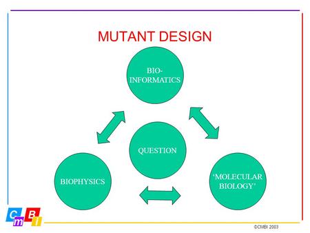 ©CMBI 2003 MUTANT DESIGN BIO- INFORMATICS QUESTION ‘MOLECULAR BIOLOGY’ BIOPHYSICS.