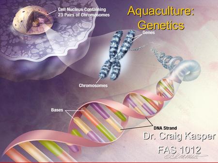 Aquaculture: Genetics Dr. Craig Kasper FAS 1012. Genetics: What is it? Genetics: The science of heredity and variation. Genetics: The science of heredity.