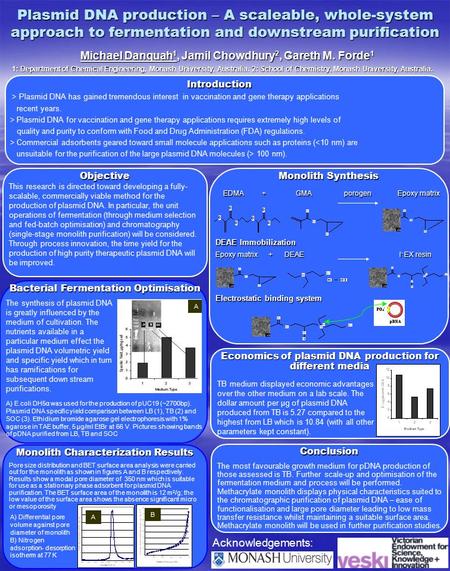 Plasmid DNA production – A scaleable, whole-system approach to fermentation and downstream purification Michael Danquah 1, Jamil Chowdhury 2, Gareth M.