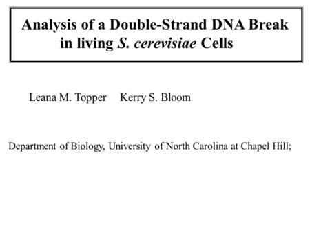 Analysis of a Double-Strand DNA Break in living S. cerevisiae Cells Leana M. Topper Kerry S. Bloom Department of Biology, University of North Carolina.