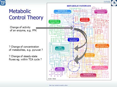 Humboldt- Universität Zu Berlin Edda Klipp, Humboldt-Universität zu Berlin Metabolic Control Theory Change of activity of an enzyme, e.g. PFK ? Change.