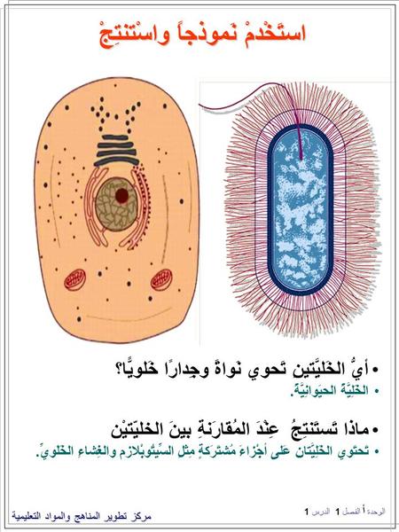 مركز تطوير المناهج والمواد التعليمية استَخْدمْ نَموذجاً واسْتنتِجْ أيُّ الخَليَّتينِ تَحوي نَواةً وجِدارًا خَلويًّا؟ الخَلِيَّةُ الحيَوانِيَّةُ. ماذا تََستَنتِجُ