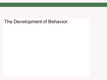 The Development of Behavior:. Points All Behaviors have some genetic basis. Brain structure, vocal anatomy, etc. determined by DNA and genetic program.